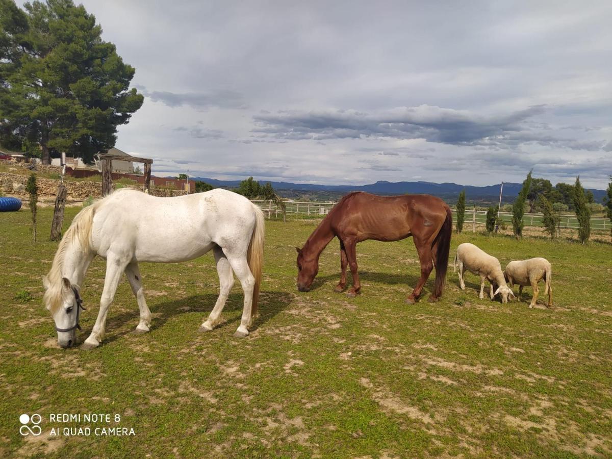 Appartement Casa Con Vistas, Piscina Y Animales De Granja, La Caseta